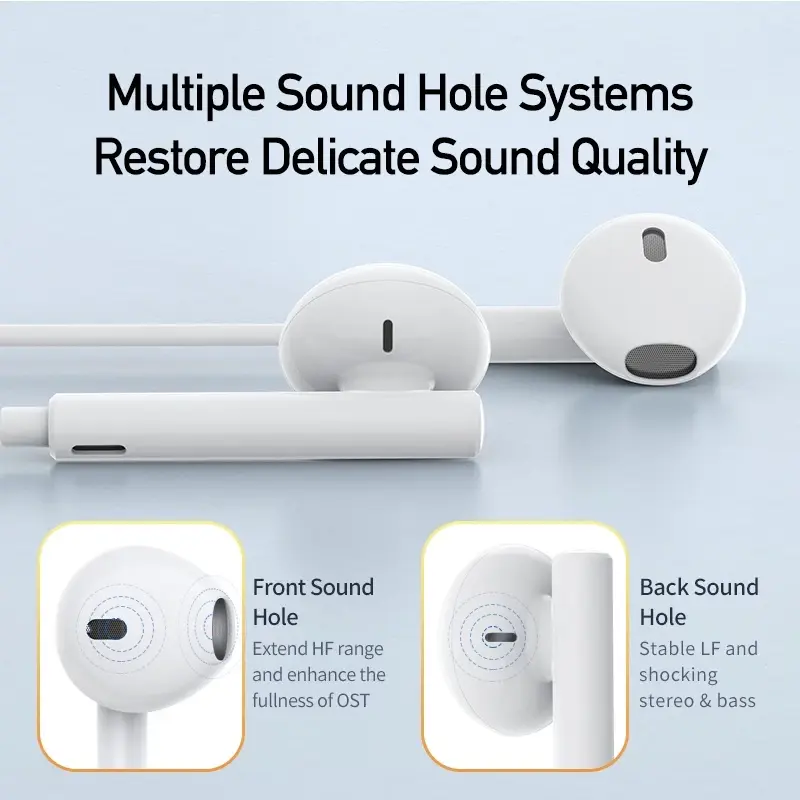 Awei PC-1T Type-C Wired Earphone details