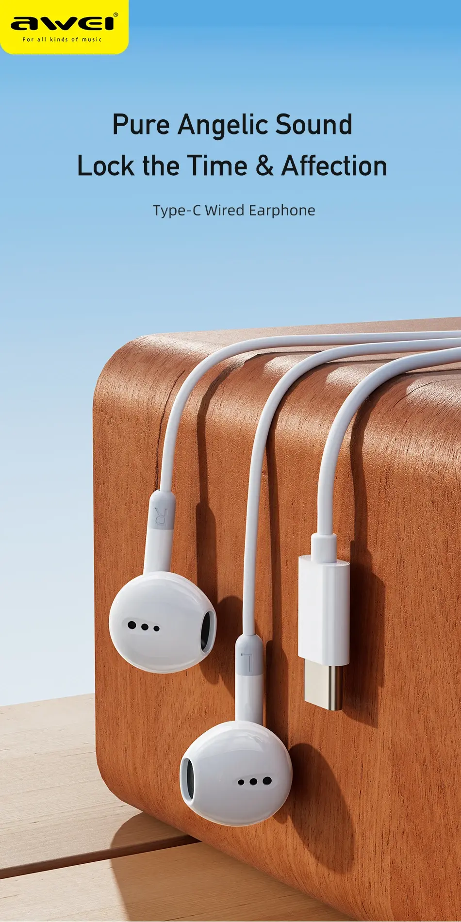 Awei PC-6T Type-C Wired Earphones stylish design