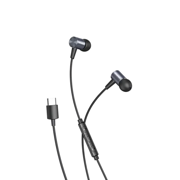 Awei TC-2 Type C Wired Earphones in Malaysia